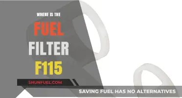Locating the Fuel Filter in Your F115 Engine