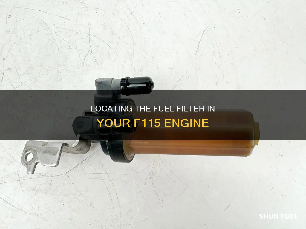where is the fuel filter f115