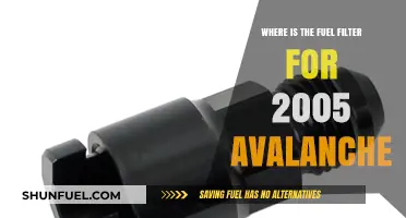Avalanche Fuel Filter Location Guide for 2005 Models