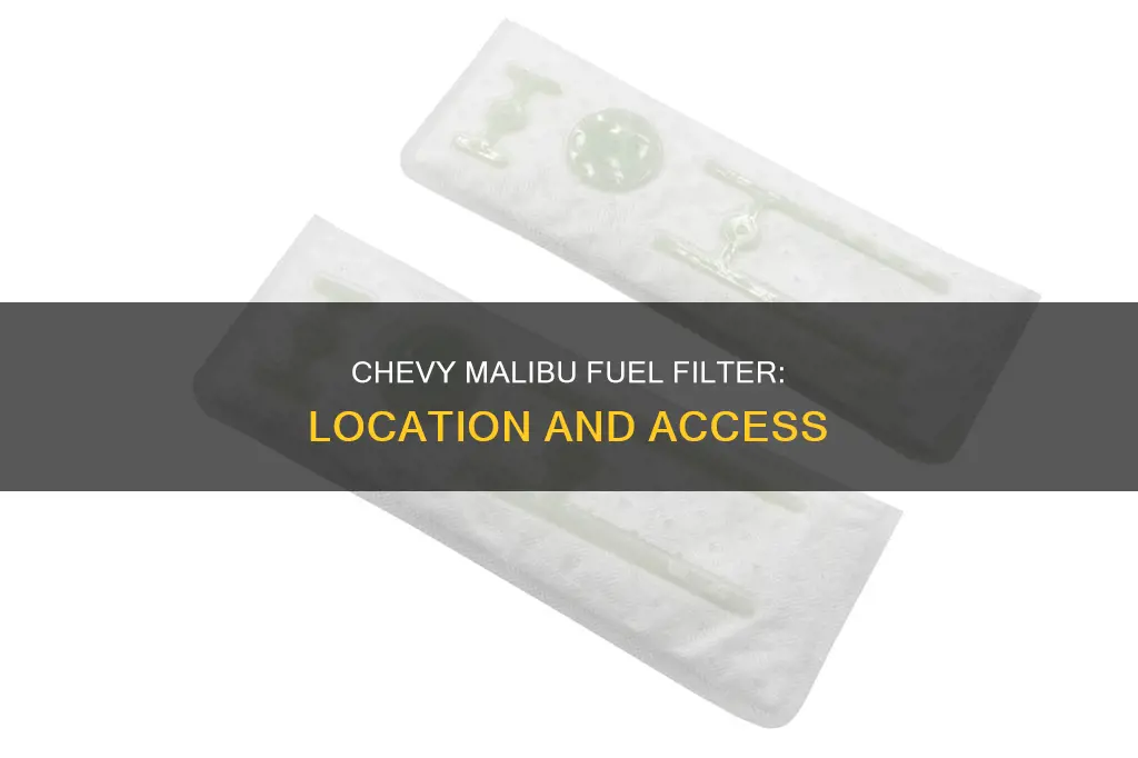 where is the fuel filter for 2005 chevy malibu