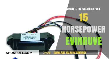 Finding the Fuel Filter: Evinrude 15 HP Maintenance
