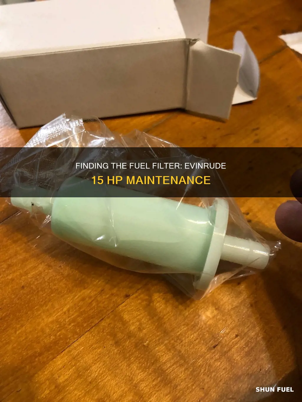 where is the fuel filter for a 15 horsepower evinruve
