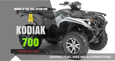 Finding the Fuel Filter in Your Kodiak 700