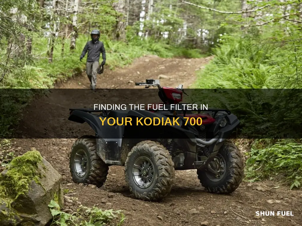 where is the fuel filter for a kodiak 700