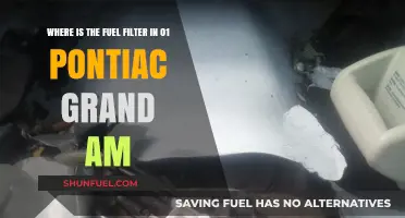 Fuel Filter Location in Pontiac Grand Am