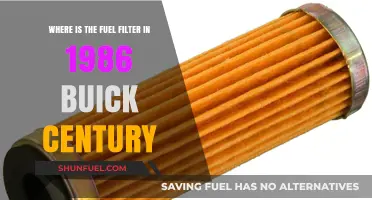 Buick Century Fuel Filter: Location and Access