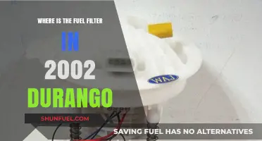 Locating the Fuel Filter in a 2002 Durango