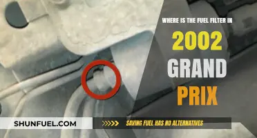 Grand Prix Fuel Filter: Location and Access