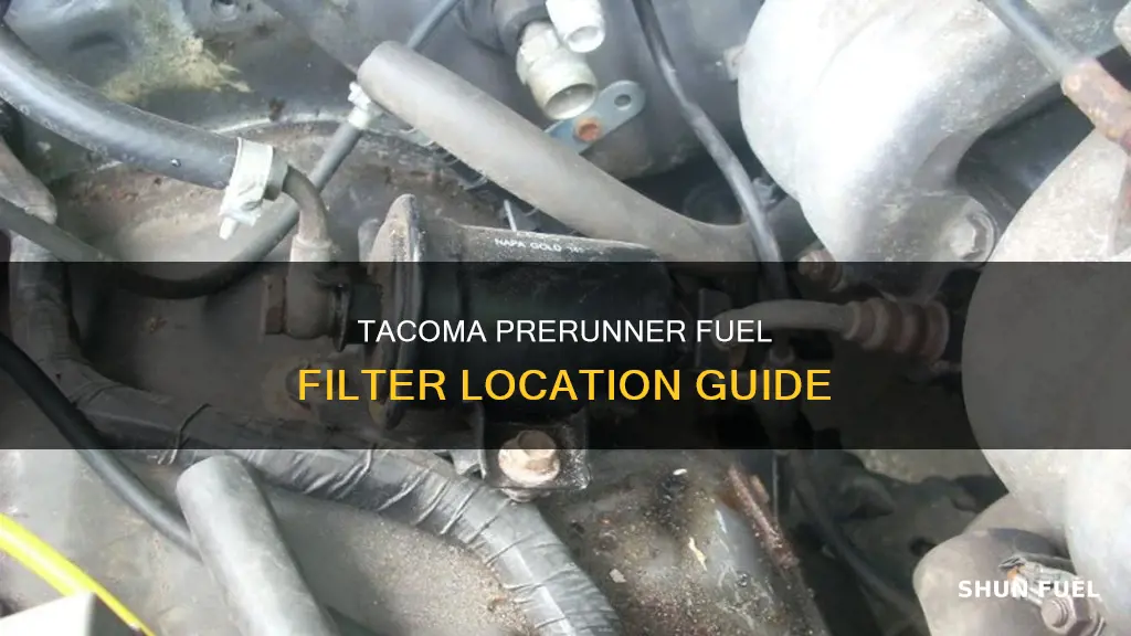 where is the fuel filter in a 2000 tacoma prerunner