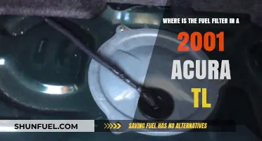 Acura TL Fuel Filter: Location and Access