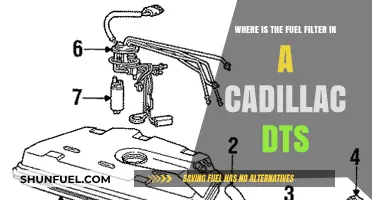 Cadillac DTS: Fuel Filter Location and Access