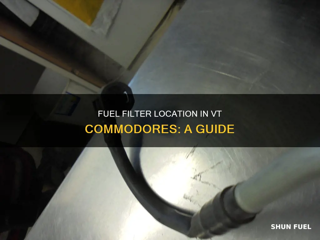 where is the fuel filter in a vt commodore