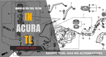 Acura TL Fuel Filter: Location and Access