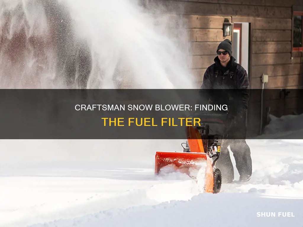 where is the fuel filter in my craftsman snow blower