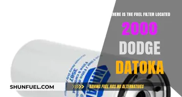 Dodge Datoka Fuel Filter: Location and Access Guide