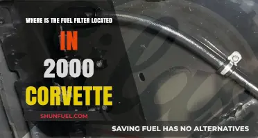 Fuel Filter Location Guide: 2000 Corvette