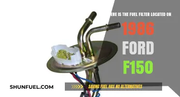 Locating the Fuel Filter on a 1986 Ford F150