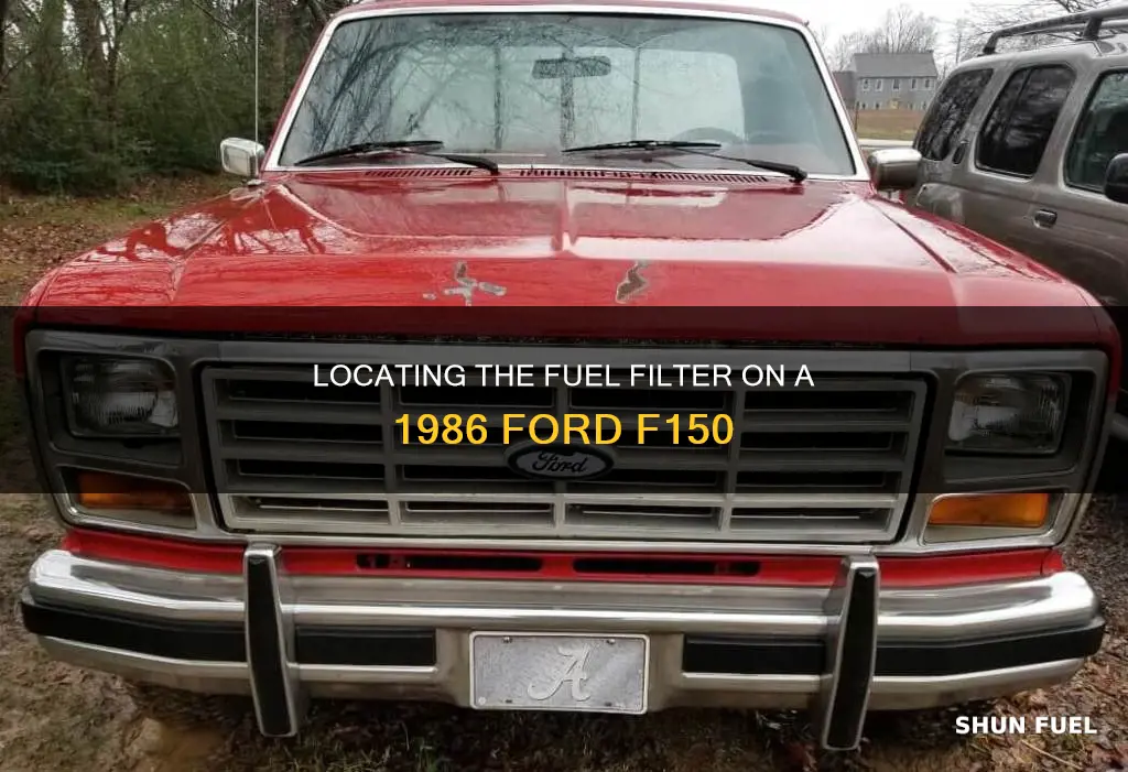 where is the fuel filter located on 1986 ford f150