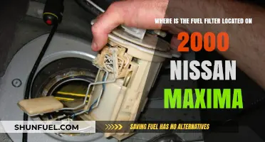 Fuel Filter Location Guide: 2000 Nissan Maxima