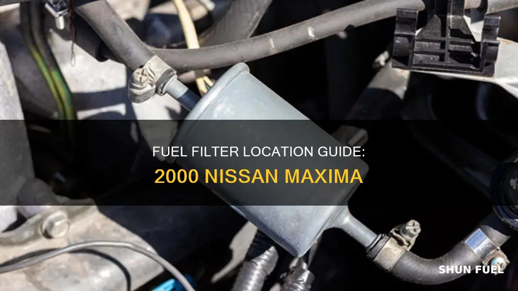 where is the fuel filter located on 2000 nissan maxima