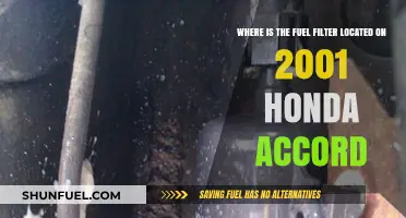Fuel Filter Location in 2001 Honda Accord