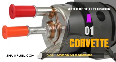 Fuel Filter Location Guide for 01 Corvette