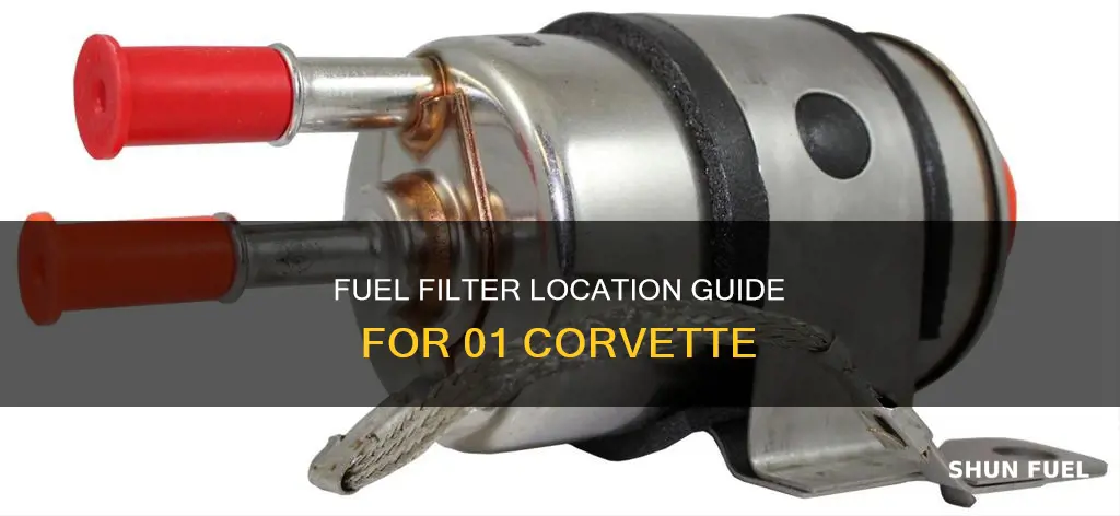 where is the fuel filter located on a 01 corvette