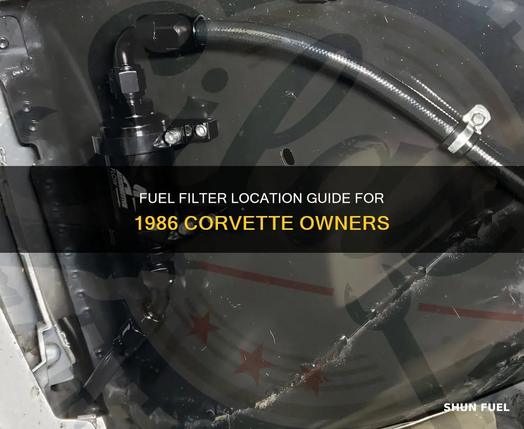 where is the fuel filter located on a 1986 corvette