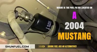 Mustang Fuel Filter: Location and Access Guide
