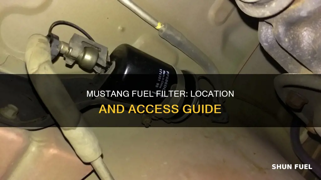 where is the fuel filter located on a 2004 mustang