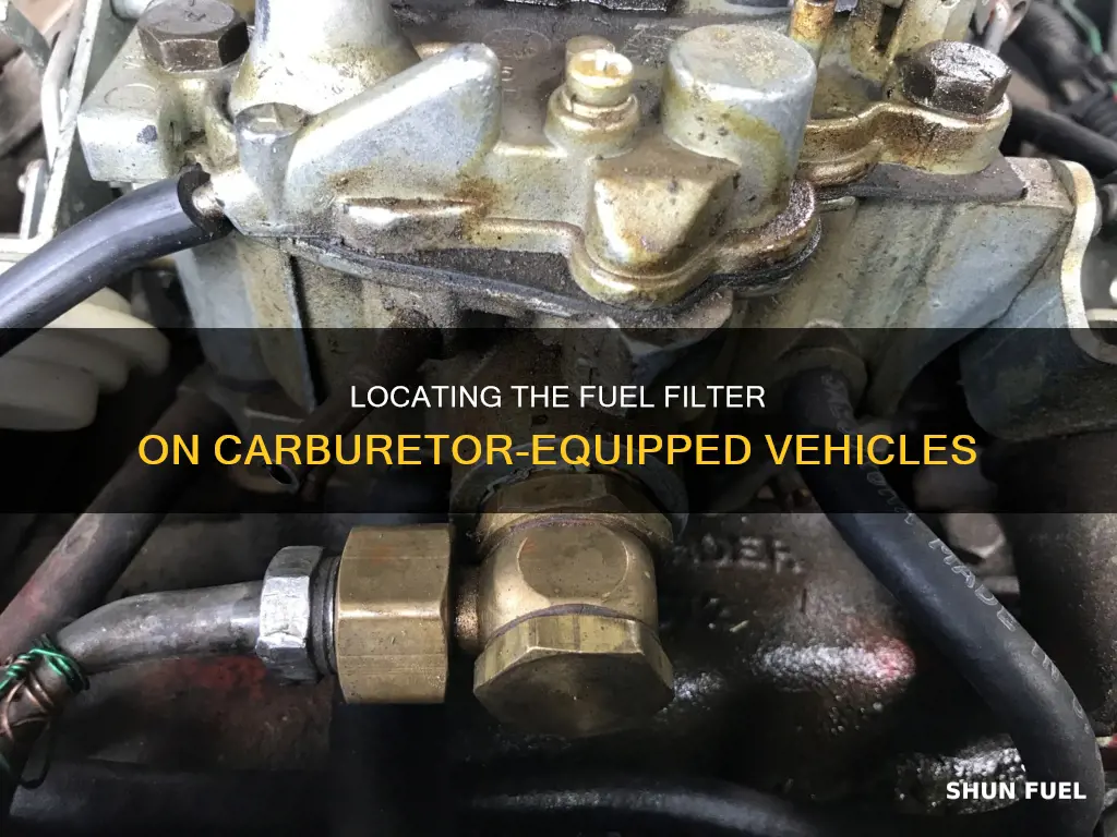 where is the fuel filter located on a carburetor