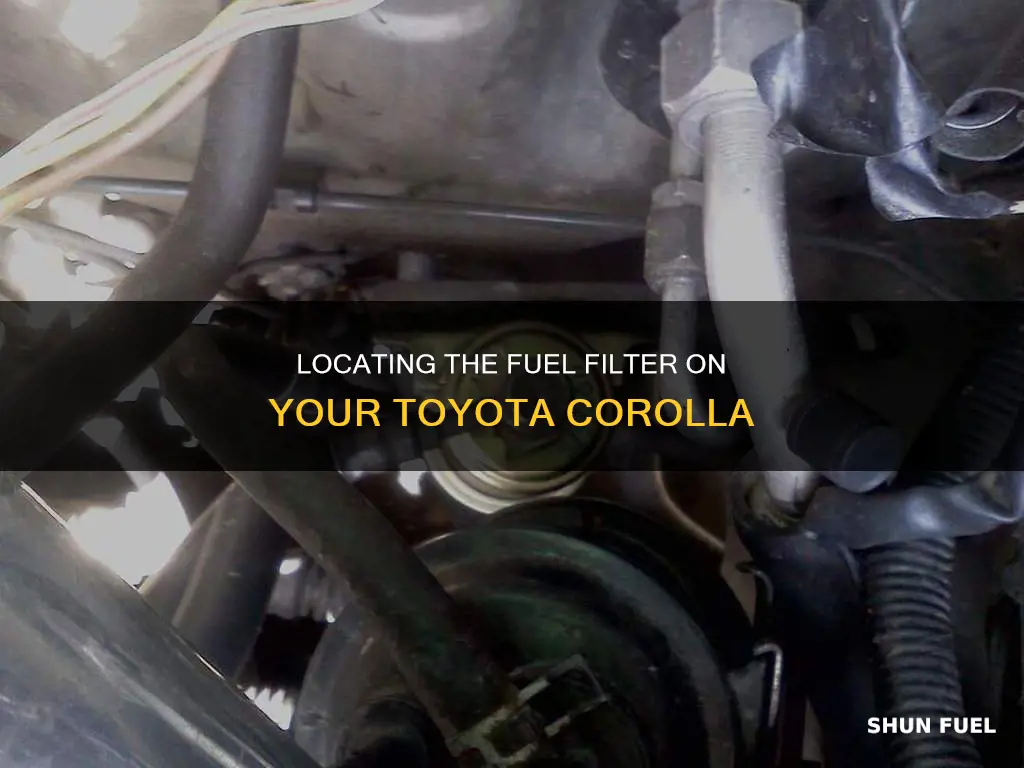 where is the fuel filter located on a toyota corolla