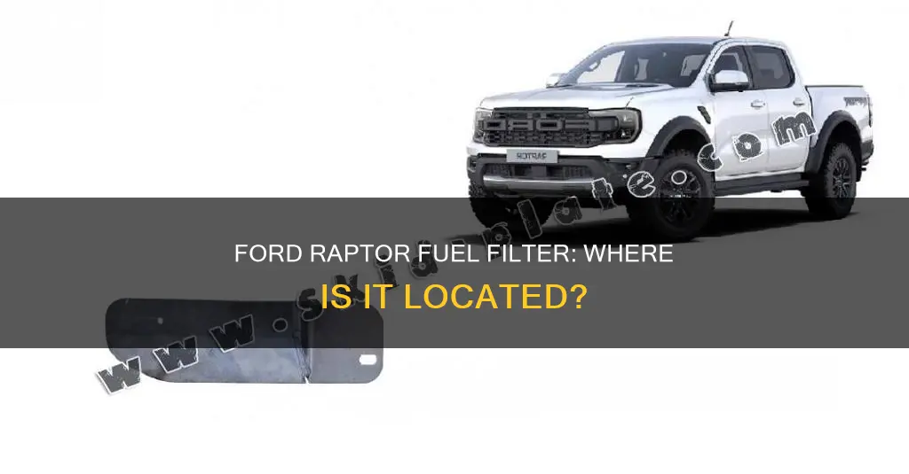 where is the fuel filter located on ford raptor