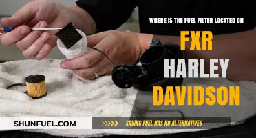 Harley Davidson FXR: Fuel Filter Location Guide