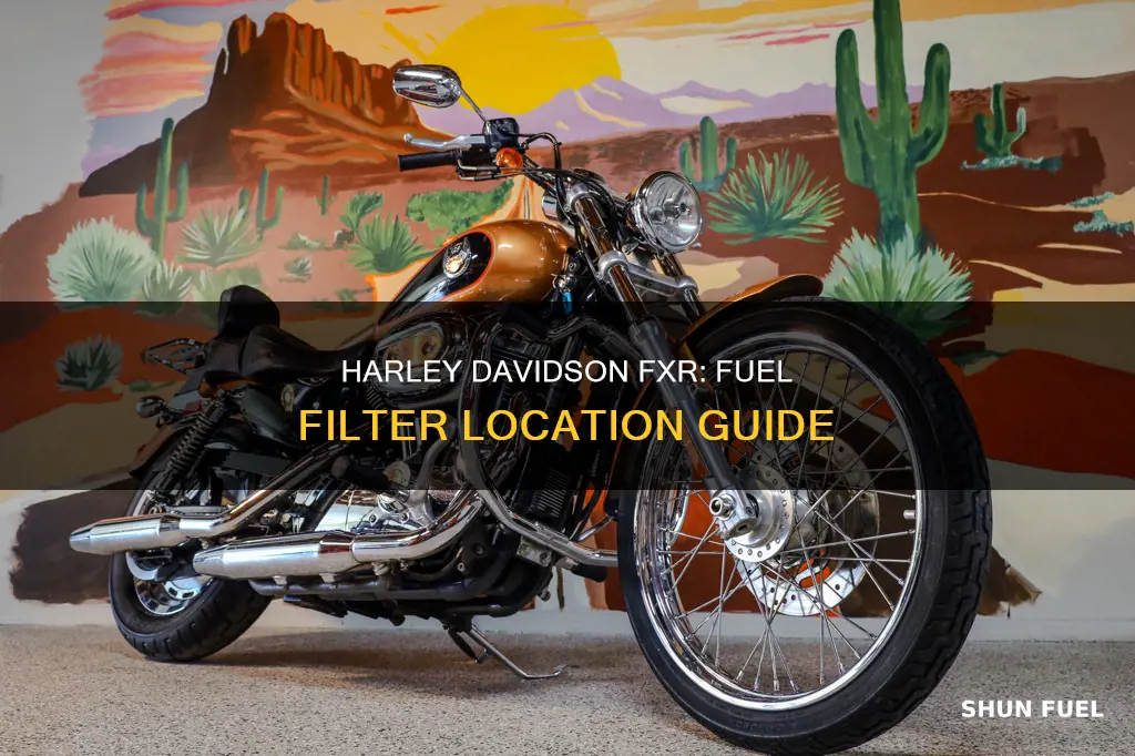 where is the fuel filter located on fxr harley davidson