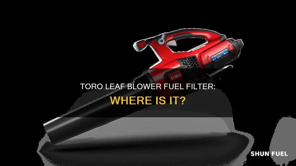 where is the fuel filter located on toro leaf blower