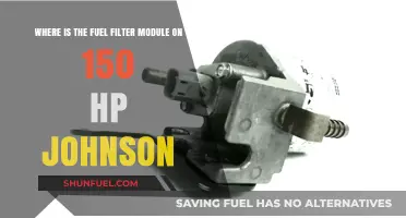 Locating the Fuel Filter Module in Your 150 HP Johnson