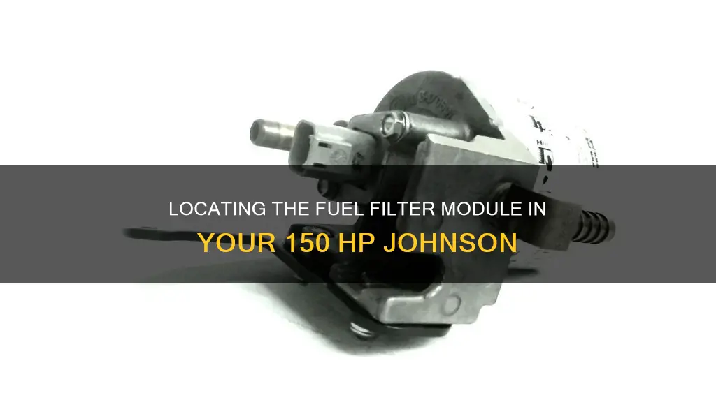 where is the fuel filter module on 150 hp johnson