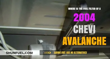 Chevy Avalanche: Fuel Filter Location and Access