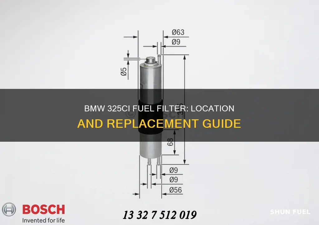 where is the fuel filter of a bmw 325ci 2001