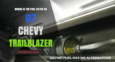Chevy Trailblazer Fuel Filter: Location and Access