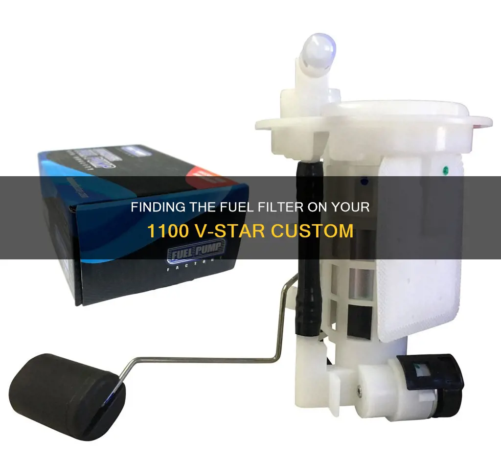 where is the fuel filter on 1100 v star custom