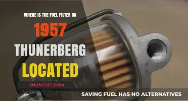 Thunderberg's Fuel Filter Location in 1957 Models