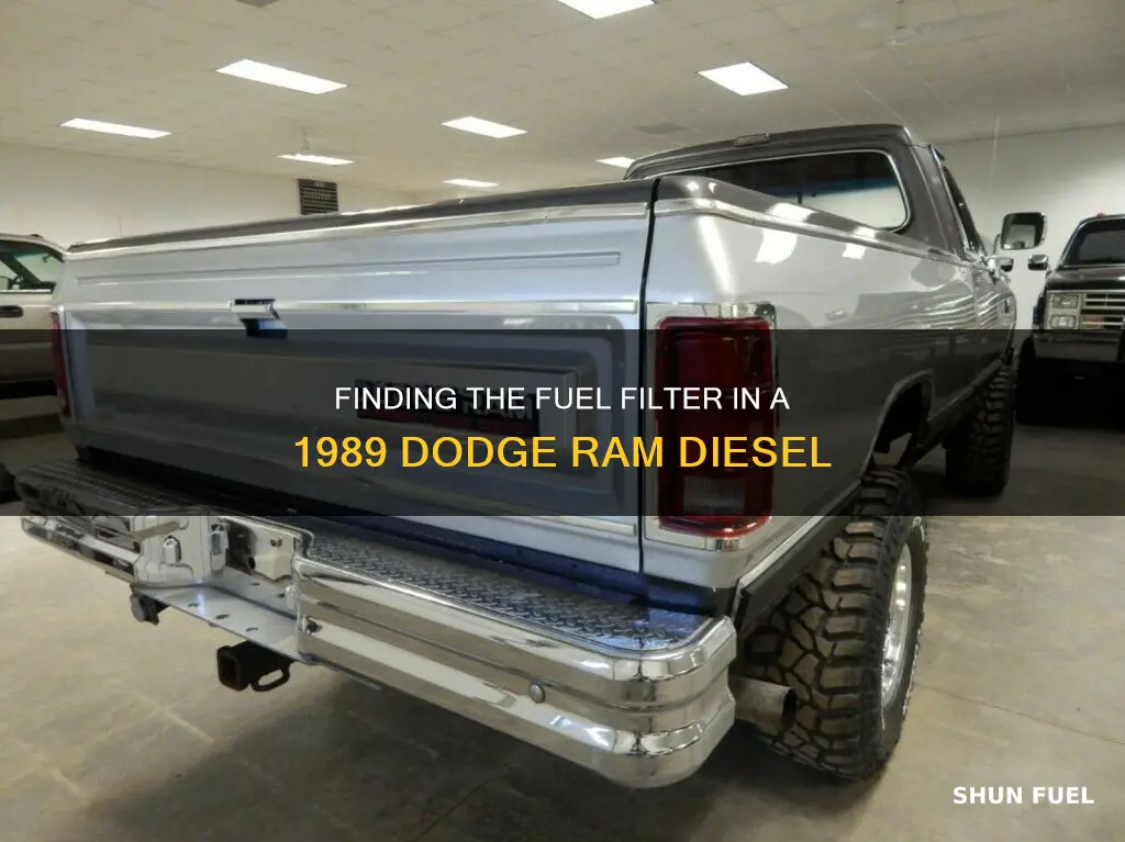 where is the fuel filter on 1989 dodge ram diesel