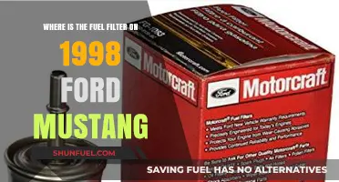Locating the Fuel Filter in a 1998 Ford Mustang