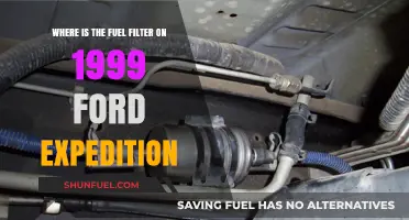 Ford Expedition Fuel Filter: Location and Access Guide