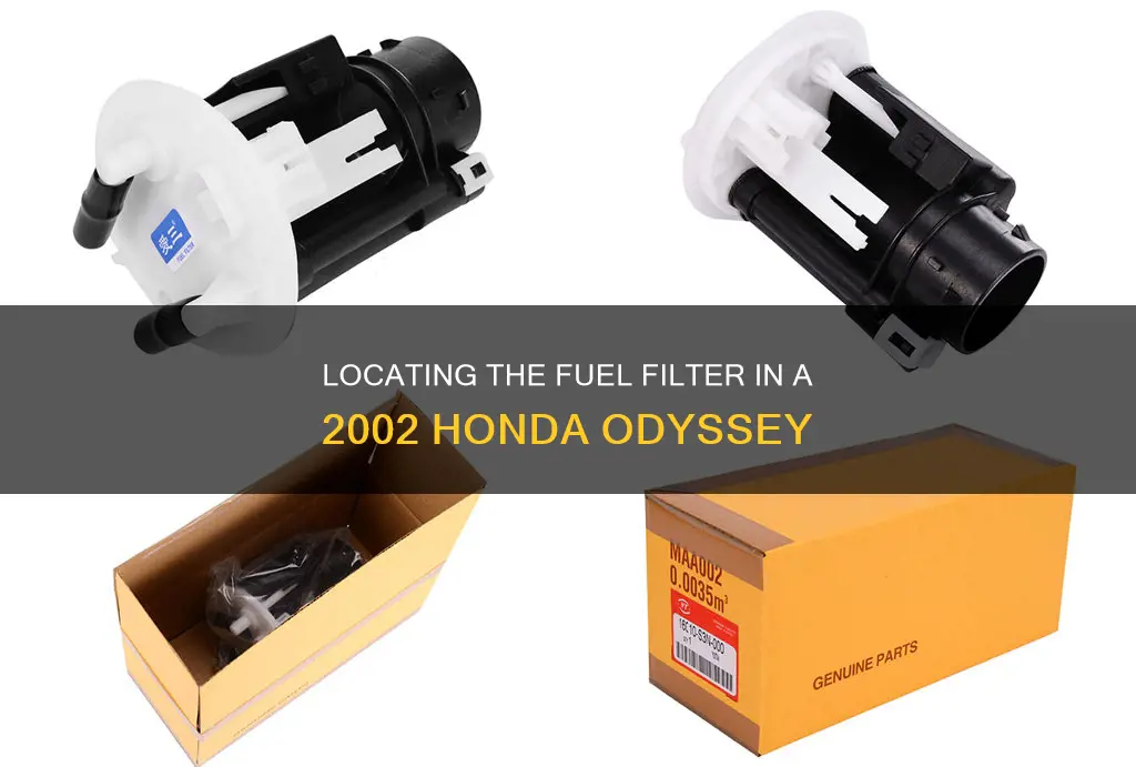 where is the fuel filter on 2002 honda odessey