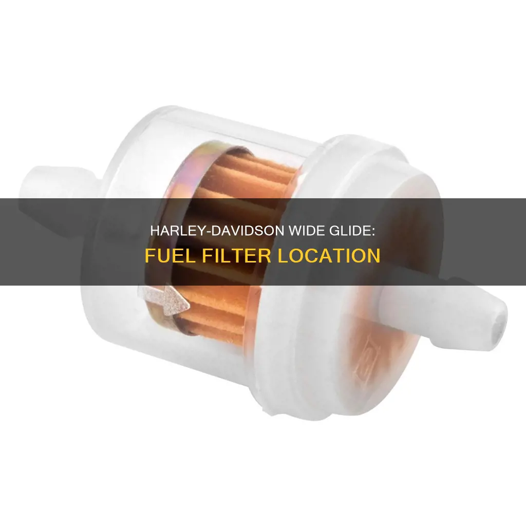 where is the fuel filter on 2002 wide glide