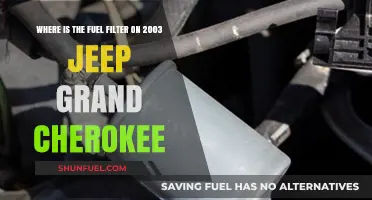 Fuel Filter Location in Jeep Grand Cherokee (2003 Model)