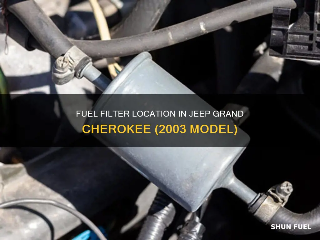where is the fuel filter on 2003 jeep grand cherokee